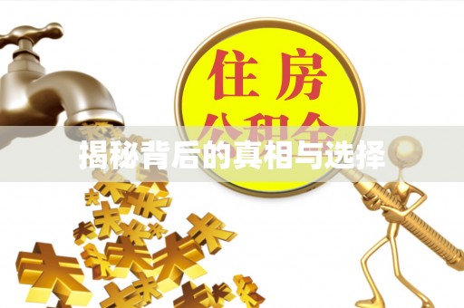 长滨揭秘背后的真相与选择