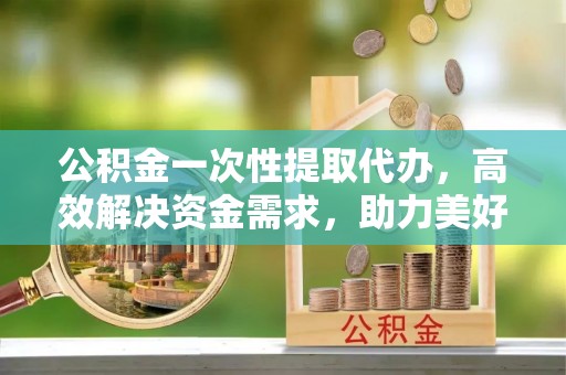 网点公积金一次性提取代办，高效解决资金需求，助力美好生活规划