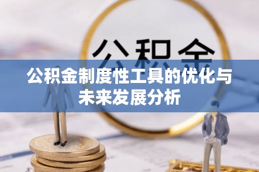 仁爱公积金制度性工具的优化与未来发展分析