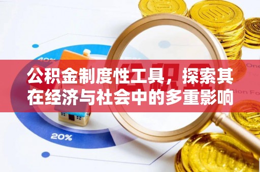 仁爱公积金制度性工具，探索其在经济与社会中的多重影响