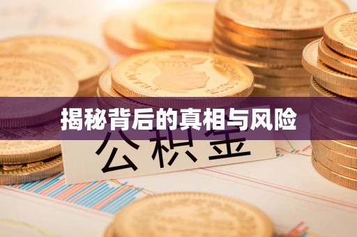 和硕揭秘背后的真相与风险