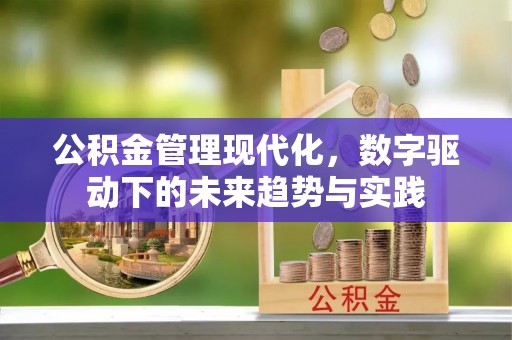 八宿公积金管理现代化，数字驱动下的未来趋势与实践