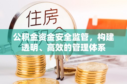 枋山公积金资金安全监管，构建透明、高效的管理体系