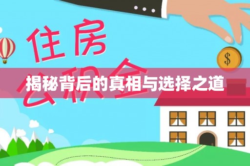 麦寮揭秘背后的真相与选择之道