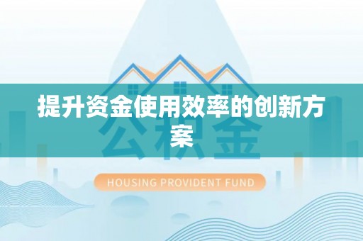 花山提升资金使用效率的创新方案