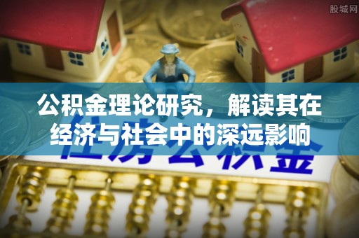 新龙公积金理论研究，解读其在经济与社会中的深远影响