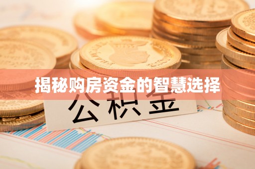 热线揭秘购房资金的智慧选择