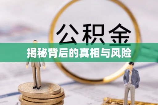乐陵揭秘背后的真相与风险