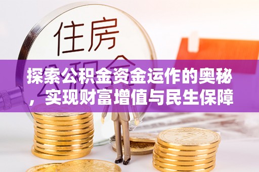 海棠探索公积金资金运作的奥秘，实现财富增值与民生保障