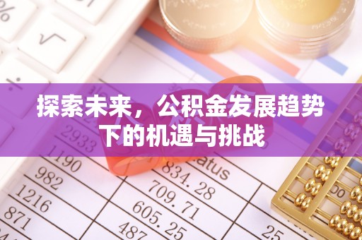 福贡探索未来，公积金发展趋势下的机遇与挑战