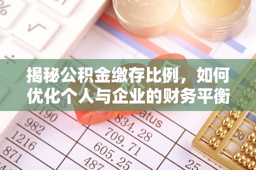 武冈揭秘公积金缴存比例，如何优化个人与企业的财务平衡