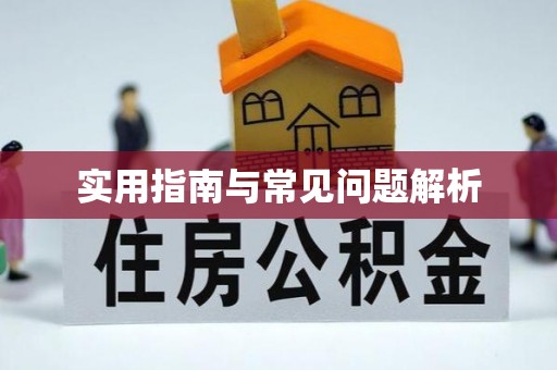 疏附实用指南与常见问题解析
