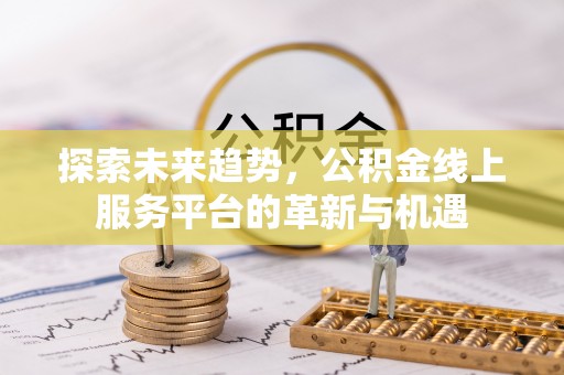 冷水滩探索未来趋势，公积金线上服务平台的革新与机遇