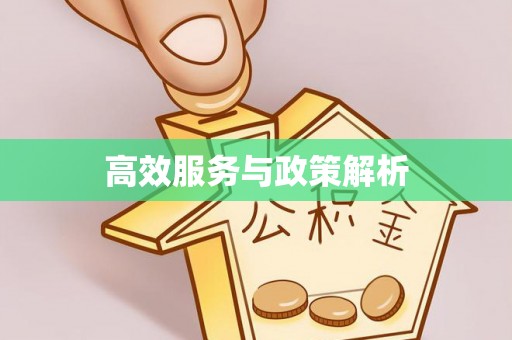 泸定高效服务与政策解析