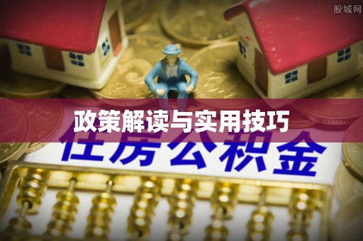 什邡政策解读与实用技巧