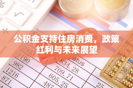 镇赉公积金支持住房消费，政策红利与未来展望