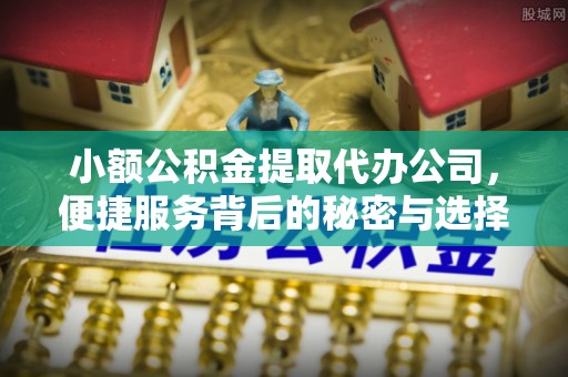 三穗小额公积金提取代办公司，便捷服务背后的秘密与选择指南