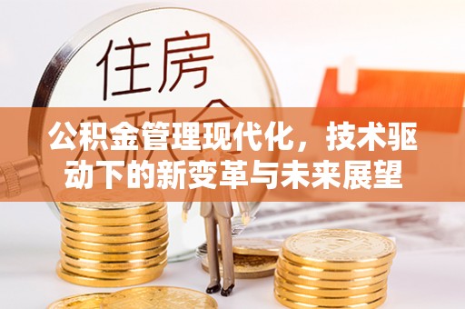 北海新区公积金管理现代化，技术驱动下的新变革与未来展望
