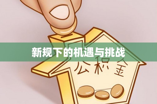 复兴新规下的机遇与挑战