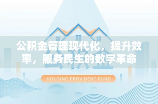 兴山公积金管理现代化，提升效率，服务民生的数字革命