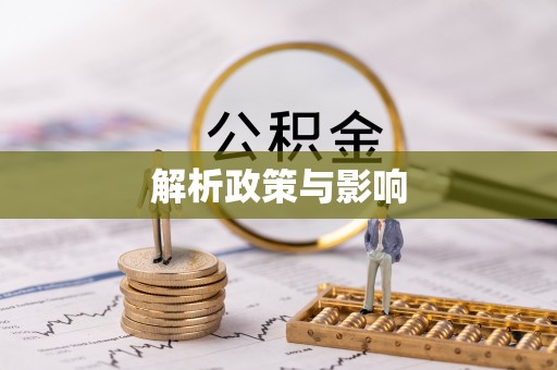 和政解析政策与影响