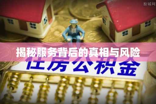 神池揭秘服务背后的真相与风险
