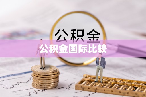 锦屏公积金国际比较