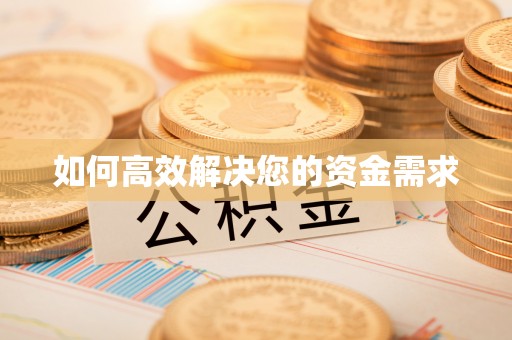 新田如何高效解决您的资金需求