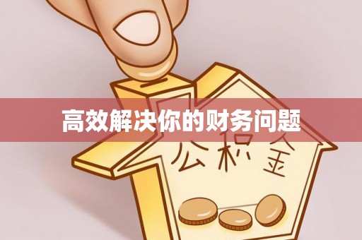 杜集高效解决你的财务问题