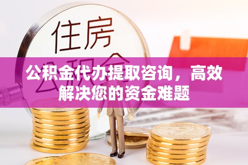 玛多公积金代办提取咨询，高效解决您的资金难题